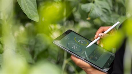 Horticulture Sector Company Results - LIVE TABLE